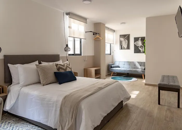 Lope 226, Polanco Apartamento *