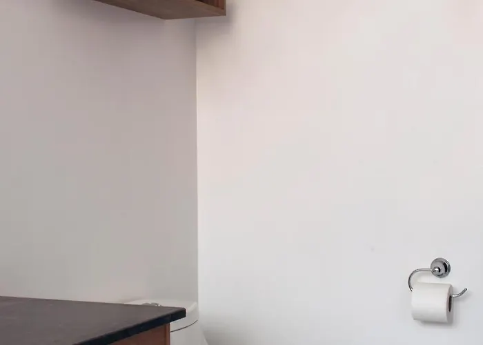 Lope 226, Polanco Apartamento México DF